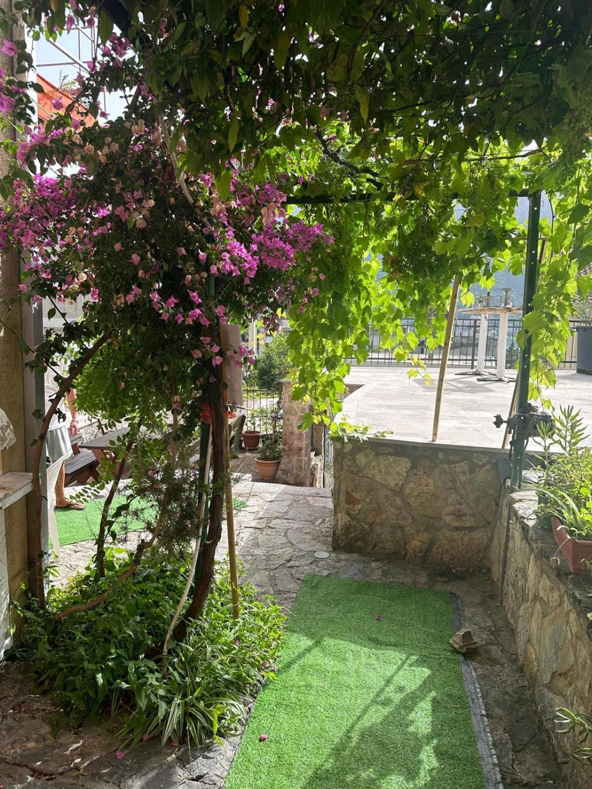 Themis Apart Hotel Kotor Extérieur photo