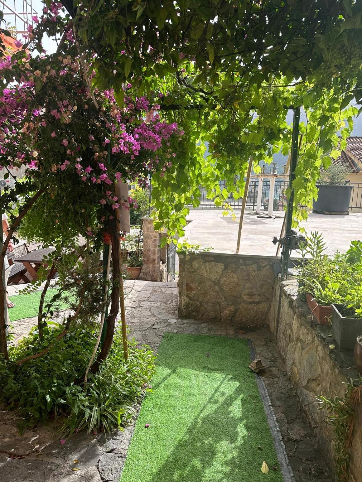 Themis Apart Hotel Kotor Extérieur photo