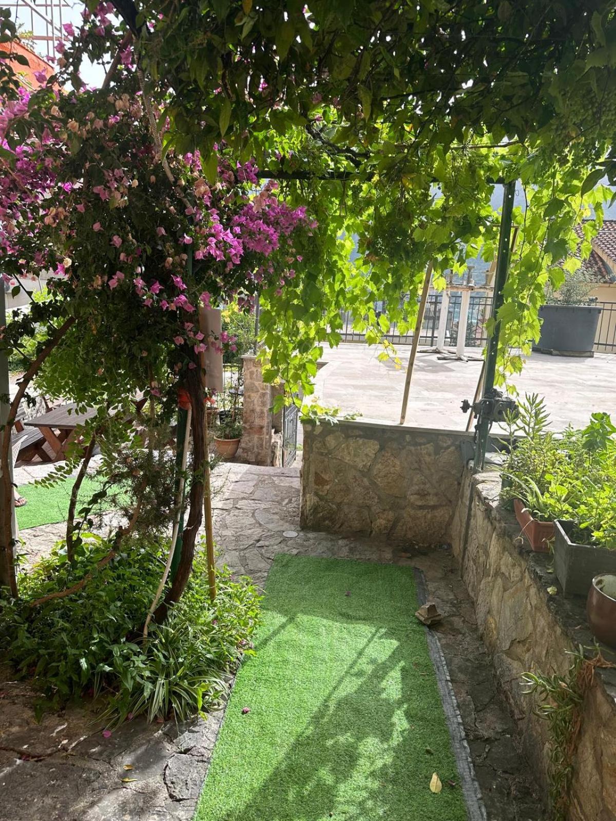 Themis Apart Hotel Kotor Extérieur photo