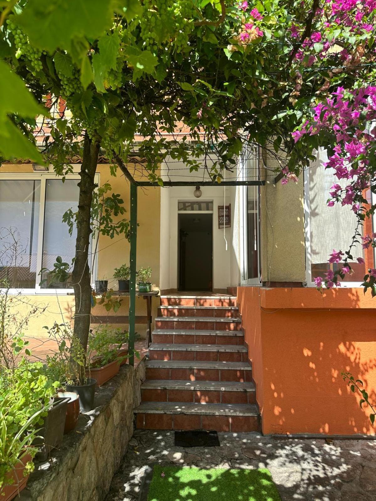 Themis Apart Hotel Kotor Extérieur photo